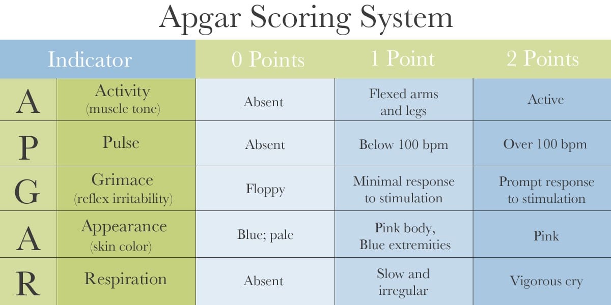  Apgar Score